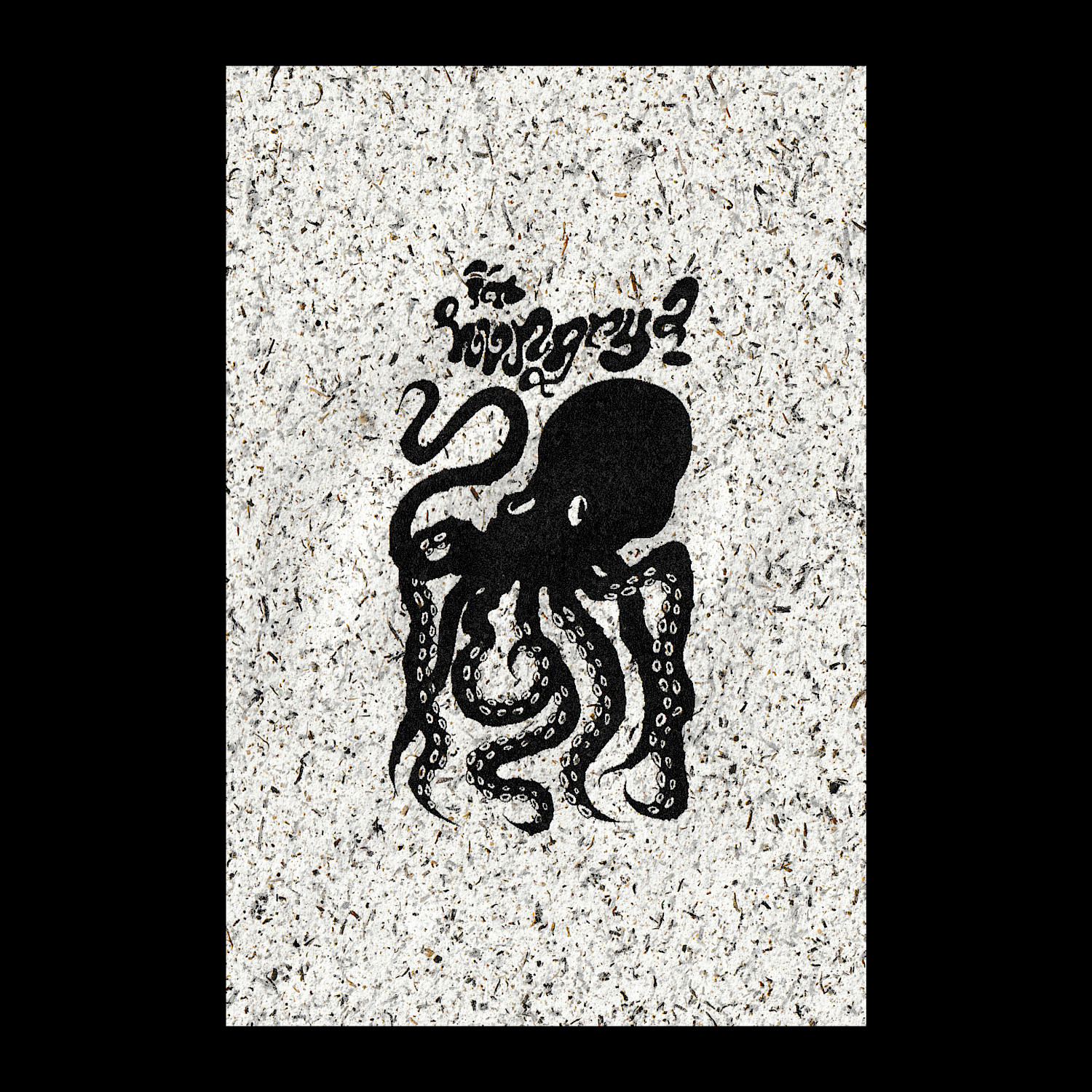 Octopus Octopus
