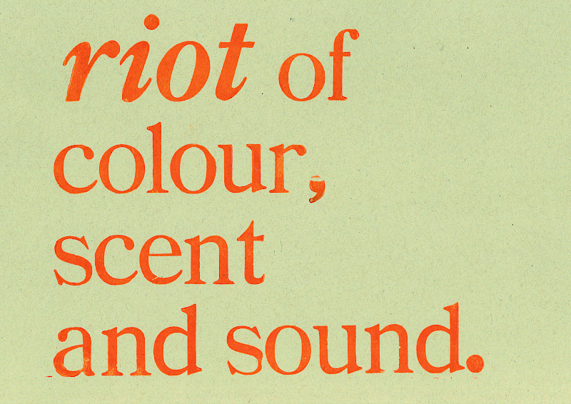 ‘Ardour’ is my most recent and collaborative project, it is a news publication on the topic of protest. Issue 1 is a guide through Derek Jarman’s garden, each chapter inspired by different sections of his Dungeness home. The curated selection of articles is a reflection on how, in its nature, Prospect Cottage and its surroundings are a symbol of expressive opposition. When unfolded, the publication is A1 but can be folded down to A6 (pocket size) which keeps it compact and easily transportable. ‘Ardour’ definition: great passion or enthusiasm, feelings of great intensity and warmth, eagerness; zeal (usually in favour of a person or cause). ‘Ardour’ is my most recent and collaborative project, it is a news publication on the topic of protest. Issue 1 is a guide through Derek Jarman’s garden, each chapter inspired by different sections of his Dungeness home. The curated selection of articles is a reflection on how, in its nature, Prospect Cottage and its surroundings are a symbol of expressive opposition. When unfolded, the publication is A1 but can be folded down to A6 (pocket size) which keeps it compact and easily transportable. ‘Ardour’ definition: great passion or enthusiasm, feelings of great intensity and warmth, eagerness; zeal (usually in favour of a person or cause).
