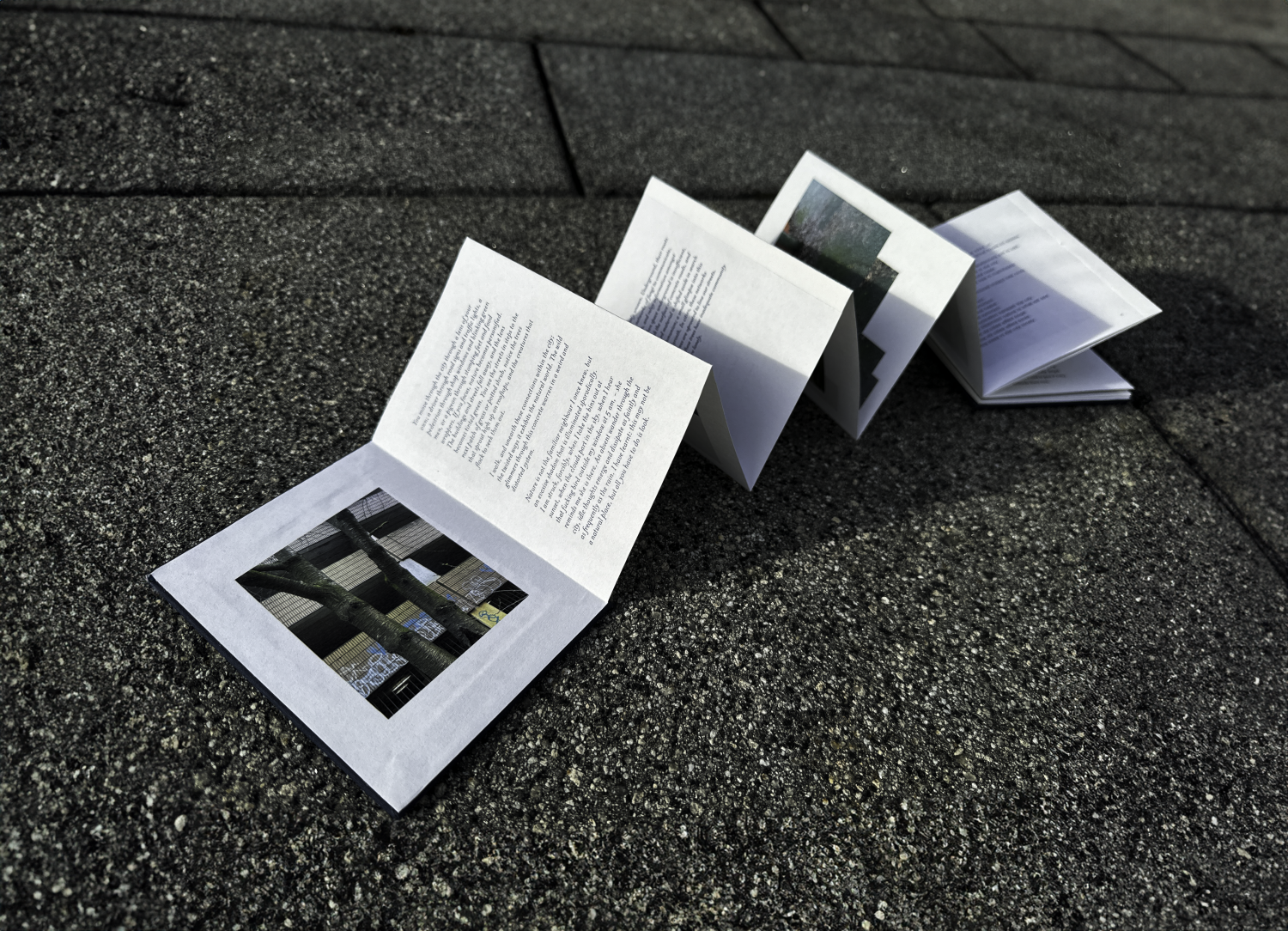 'Un earthed' is a publication that works to visualise the beauty of nature’s systems and how they persevere within a city. Through it, a new way of looking at what was previously unseen or unknown is revealed. 'Un earthed' is a publication that works to visualise the beauty of nature’s systems and how they persevere within a city. Through it, a new way of looking at what was previously unseen or unknown is revealed.