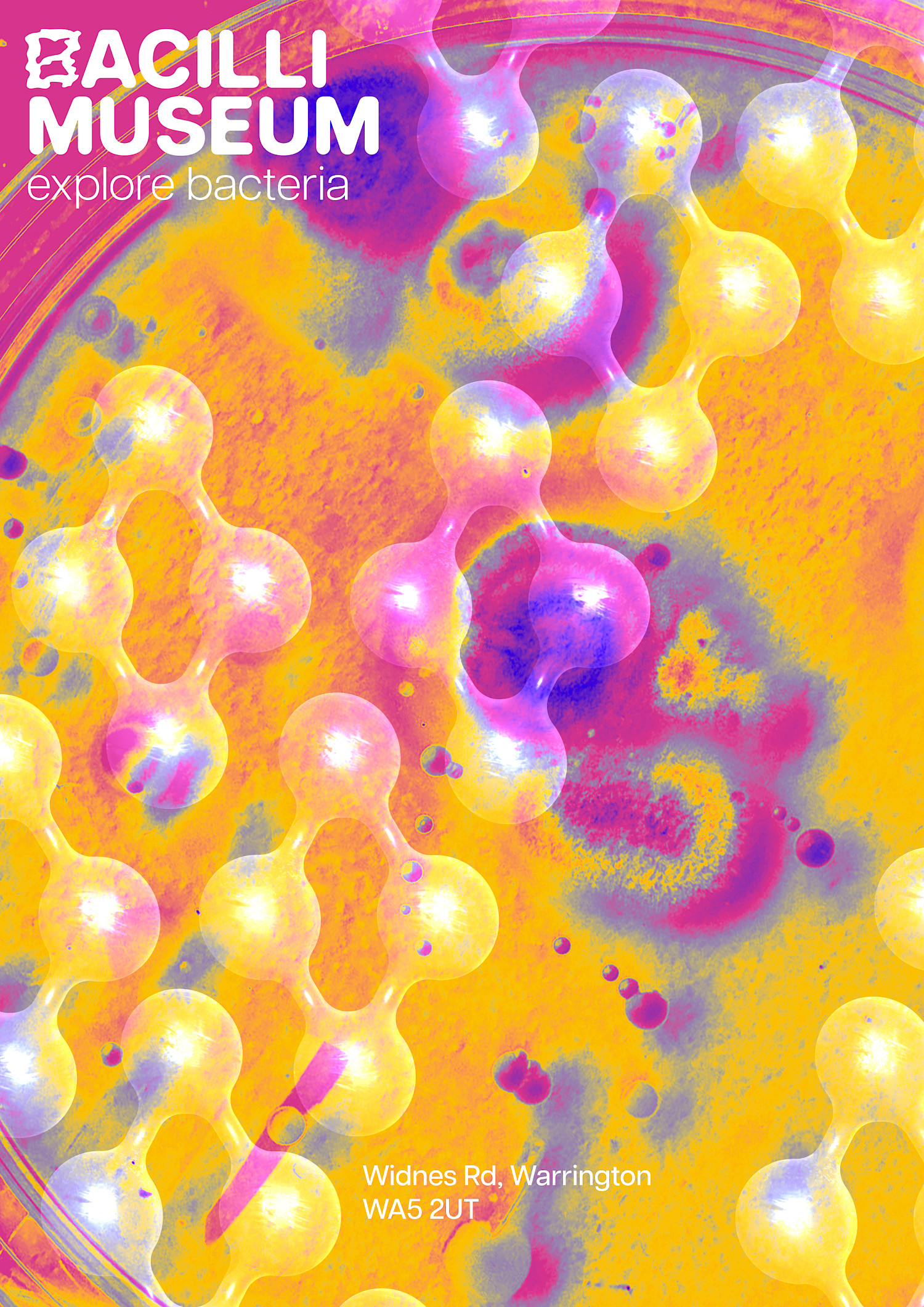 posters I created for my bacteria museum called the Bacilli Museum. I grew the bacteria myself in petri dishes. The posters show how my museum's branding could be applied to promotional material. posters I created for my bacteria museum called the Bacilli Museum. I grew the bacteria myself in petri dishes. The posters show how my museum's branding could be applied to promotional material.