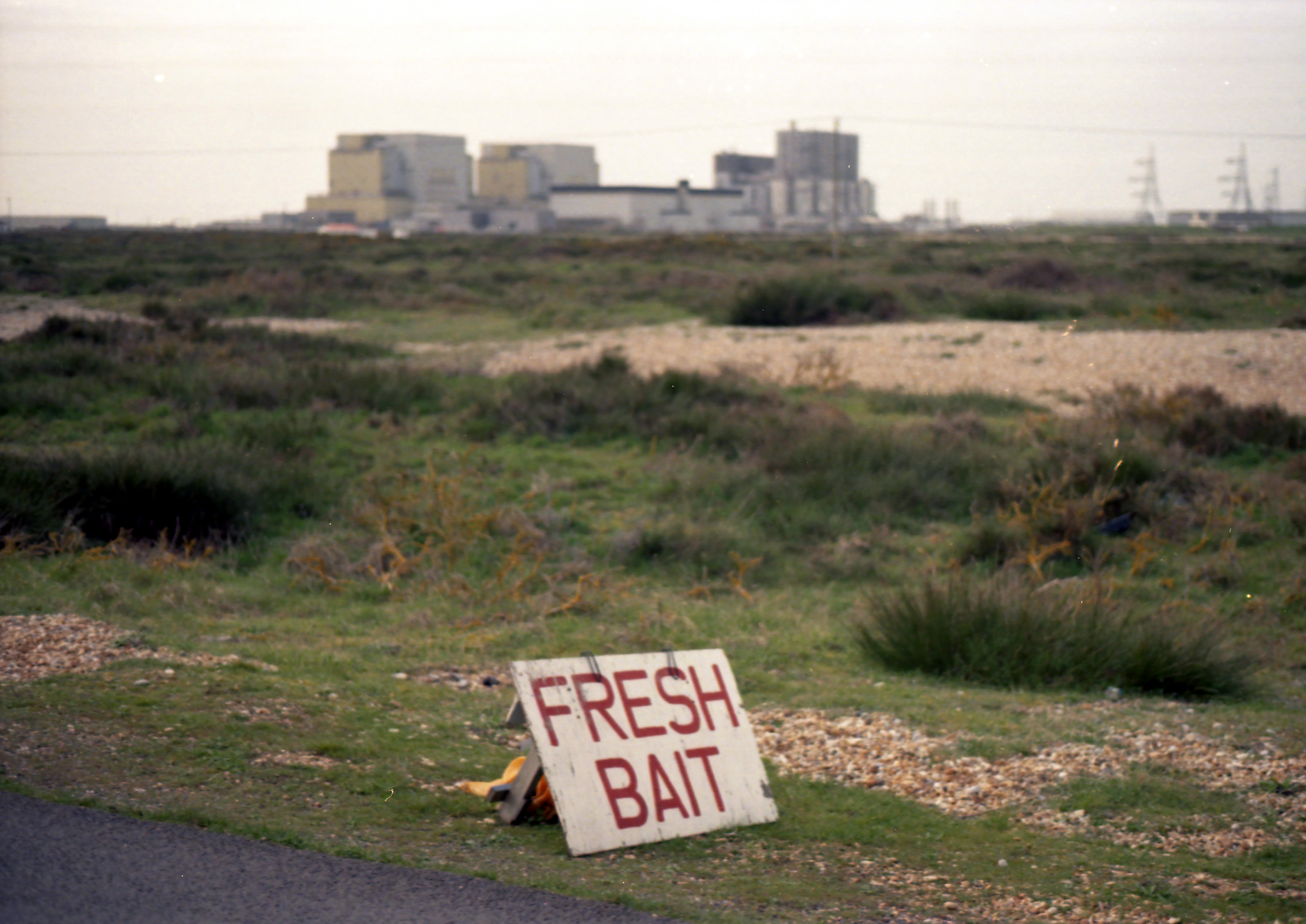 'Fresh Bait' in Dungeness - 35mm colour film photograph 'Fresh Bait' in Dungeness - 35mm colour film photograph