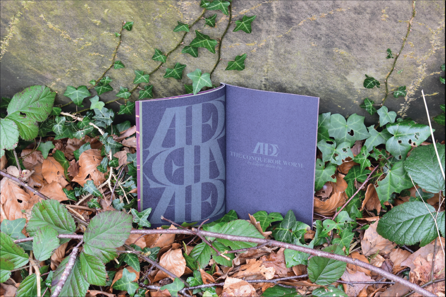 Life death and permanence is a publication I created exploring the imagery and themes that surround the liminal spaces of graveyards and cemeteries, formulating these themes into 3 specific aspects: Life, death and permanence. Each theme embodies the imagery and layout of each particular theme. Through each chapter the reader is subject to changes in the layout of type, colour and visual imagery. Life death and permanence is a publication I created exploring the imagery and themes that surround the liminal spaces of graveyards and cemeteries, formulating these themes into 3 specific aspects: Life, death and permanence. Each theme embodies the imagery and layout of each particular theme. Through each chapter the reader is subject to changes in the layout of type, colour and visual imagery.