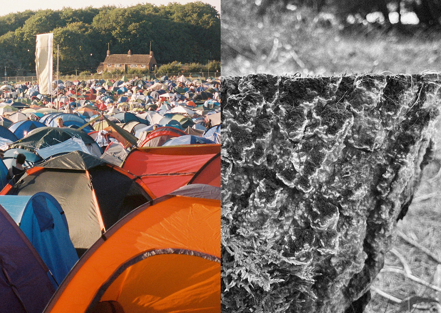 Doam revolutionises festival camping gear with eco friendly innovations, offering durable tents crafted from renewable mycelium. For this project I created a brand identity system, website, and a look book. Doam revolutionises festival camping gear with eco friendly innovations, offering durable tents crafted from renewable mycelium. For this project I created a brand identity system, website, and a look book.