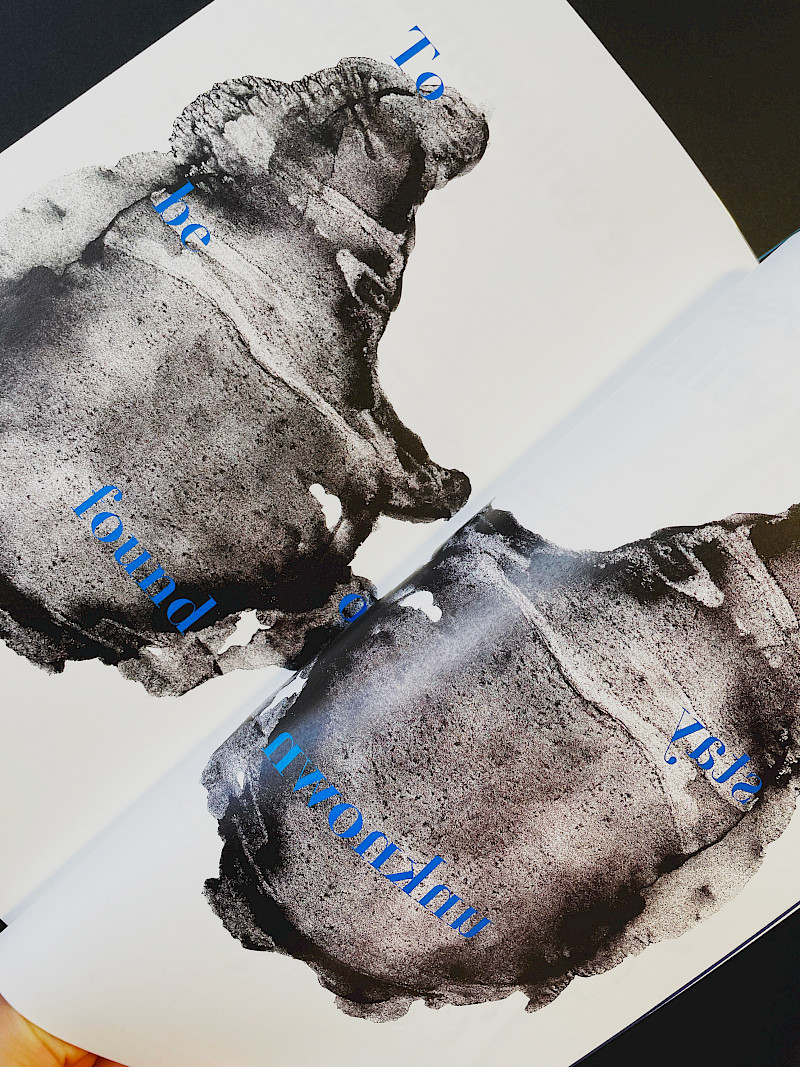 The reservoir of thoughts is a typographic publication that interprets the unconscious mind, it consists of a series of documented human responses all designed as experimental type pieces. The reservoir of thoughts is a typographic publication that interprets the unconscious mind, it consists of a series of documented human responses all designed as experimental type pieces.