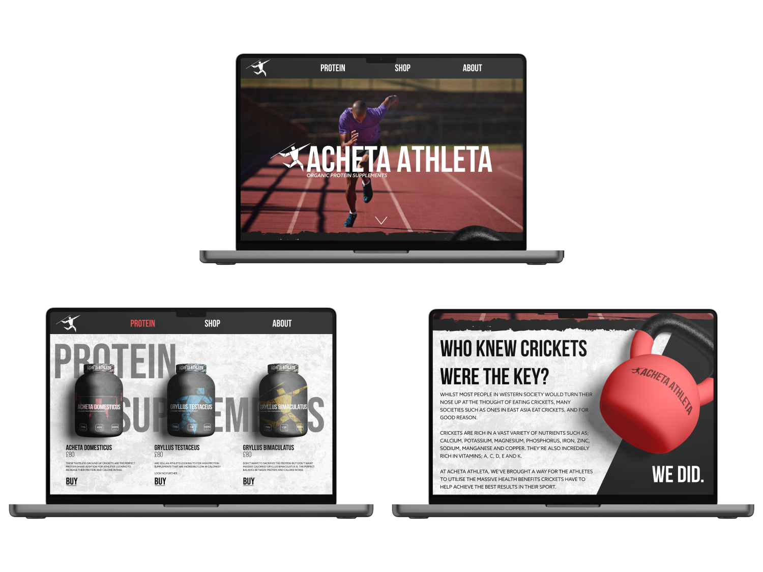 Website pages for insect protein supplement Acheta Athleta. Website pages for insect protein supplement Acheta Athleta.