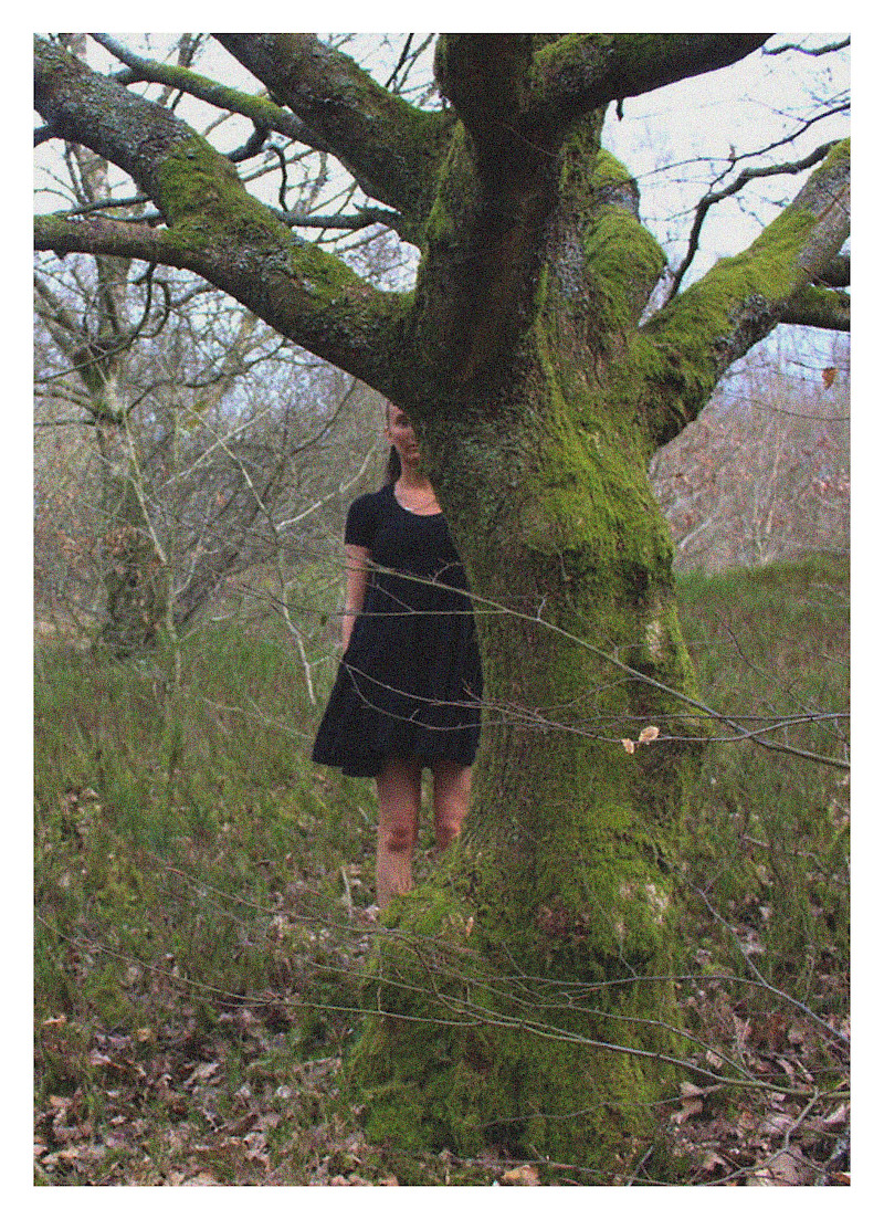 Woodland magazine Woodland magazine