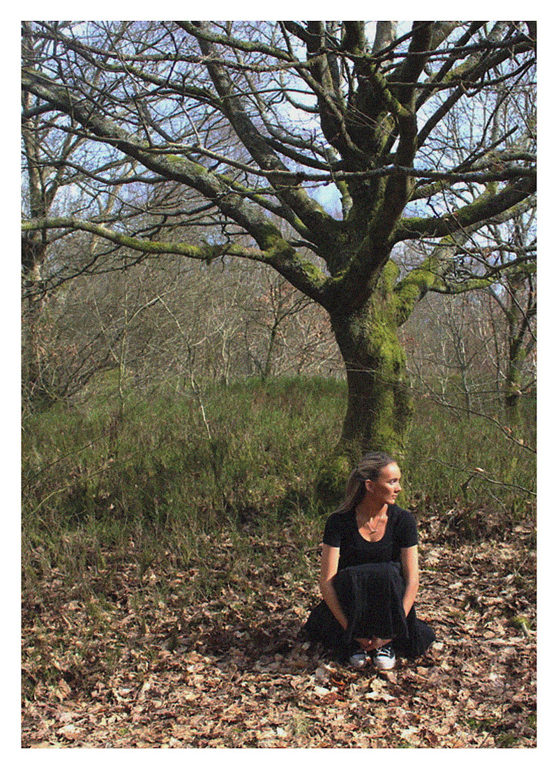Woodland magazine Woodland magazine