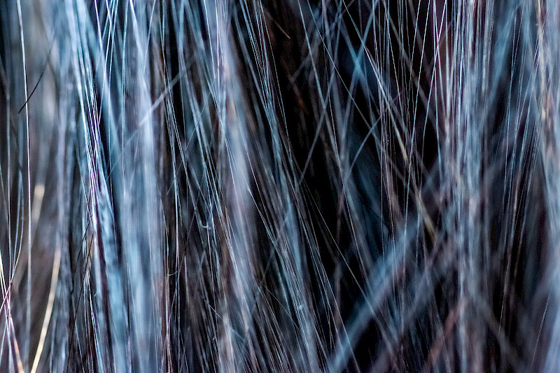 From my book: To all the little things. An image based publication that explores how the things around us change throughout the winter season. Looking at all of the little things that we wouldn’t usually pay attention to. Aiming to make the fallen or ‘dead’ nature as beautiful as what it appears to be in the summer when it’s full bloom. Highlighting its transformation throughout the seasons. The images are aided with a poem that focuses on the theme of change From my book: To all the little things. An image based publication that explores how the things around us change throughout the winter season. Looking at all of the little things that we wouldn’t usually pay attention to. Aiming to make the fallen or ‘dead’ nature as beautiful as what it appears to be in the summer when it’s full bloom. Highlighting its transformation throughout the seasons. The images are aided with a poem that focuses on the theme of change